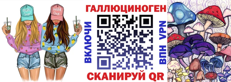 Псилоцибиновые грибы Cubensis  Баймак 